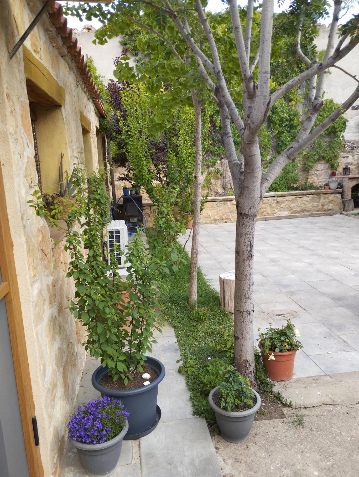 Casa Rural El Olivo Puigmoreno Buitenkant foto